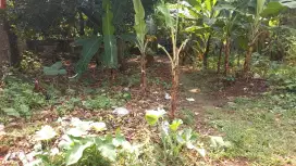 Dijual tanah sertifikat lengkap SHM lokasi viktor muncul