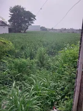Dijual Cepat Tanah Kosong 7.000m2 daerah Sepatan Timur