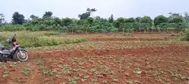 Tanah kebun dekat kampus unwahas kedokteran