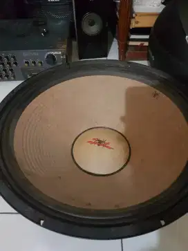 Speaker 18 inch black spider