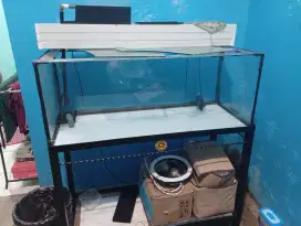 Akuarium 1 meter