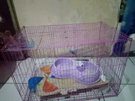 Kandang kucing masih bagus Rp.150k