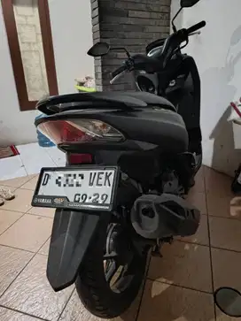 Lexi 2019 Low Km Istimewa