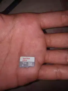Memori San dish 16 gb
