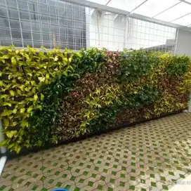 Taman vertical garden