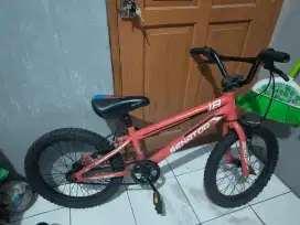 Jual sepeda anak senator