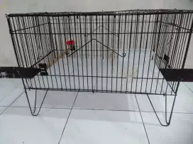 Barter Perkutut Trucukan atau Burung Lain