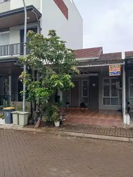 Rumah minimalis disewakan