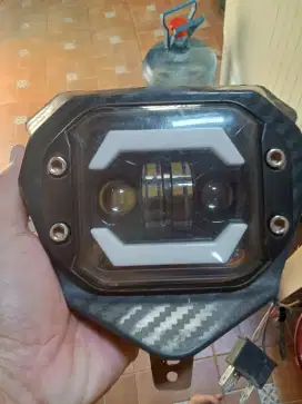 Biled led crf mulus