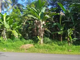 Tanah pinggir jalan strategis