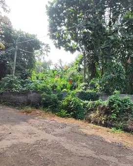 AMS-023.BL Dijual Tanah Kavling di Pering River View Blahbatuh Gianyar