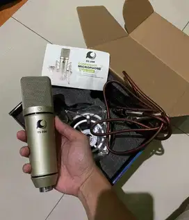 Microphone DS 200