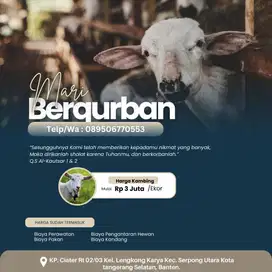 kambing qurbann