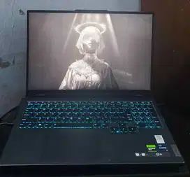 Lenovo Legion 5 Pro  i9-13900HX RTX 4060