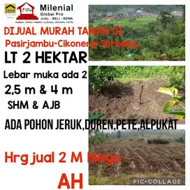 Jual Murah Tanah 2 hektar di Pasirjambu Soreang