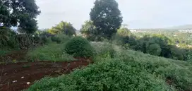 Tanah di Desa Pasir Gunung Geulis, Bogor