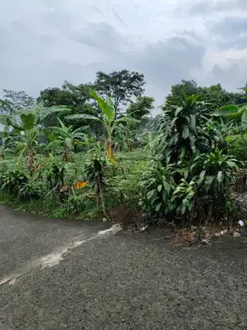 Tanah Darat di Cijayanti, Sentul City, Bogor
