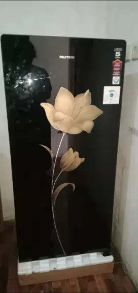 kulkas 1 pintu Polytron