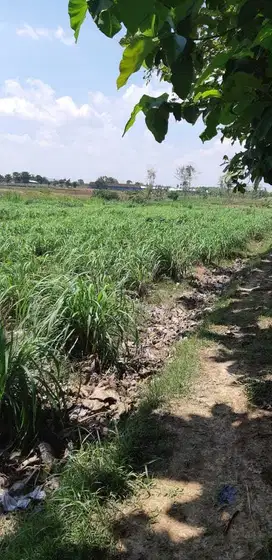 DIJUAL LAHAN/TANAH INDUSTRI GROBOGAN, 10 - 100 HA