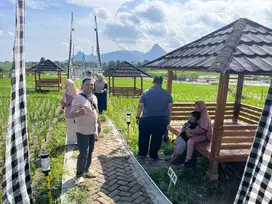 KAVLING SAWAH ESTETIK DAN PRODUKTIF DI BOGOR