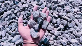 Jual Koral Murah Berkualitas Malang