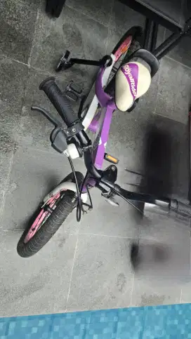 Sepeda royalrider 16 inci sepeda anak honey  Rb 16-15h