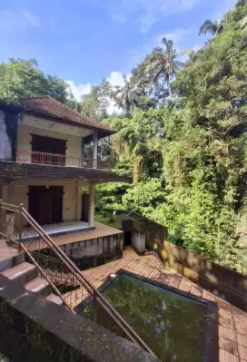 DIJUAL VILLA UBUD SUWETA LOSS SUNGAI VIEW HUTAN LEMBAH UBUD