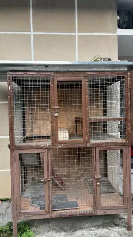 Kandang Kucing 2 tingkat