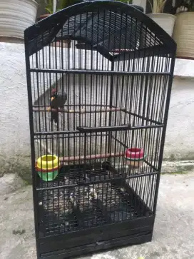 Kandang bekas no 2