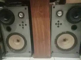 Sepasang speaker pasif 10inci