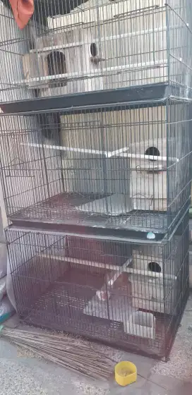 Kandang Burung Kotak Jual Murah