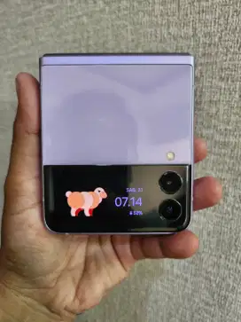 Samsung Z Flip3, Ram 8/256 (Hp Pkin cwe, Orian, Minus Garis Ky Dipoto)