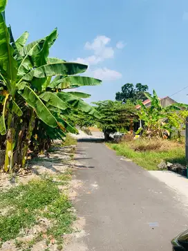 Tanah Ideal Siap Bangun Murah Di Perumahan