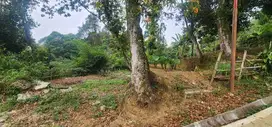 Dijual Lahan Kebun 1200m2 SHM di Cijeruk Bogor