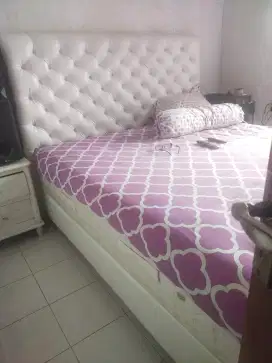 Springbed King Koil Chiropractor Endorsed 180*200