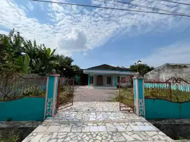 Rumah (Luas 1181 m³)