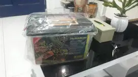 Kandang Faunarium Exoterra (cocok buat Gecko, Tarantula, & kura-kura)