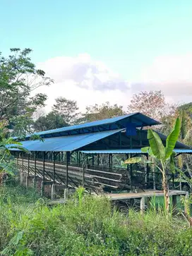 Dijual Lahan Trawas Pacet