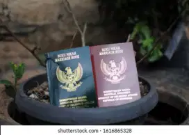 Biro jasa dokumen Cleopatra