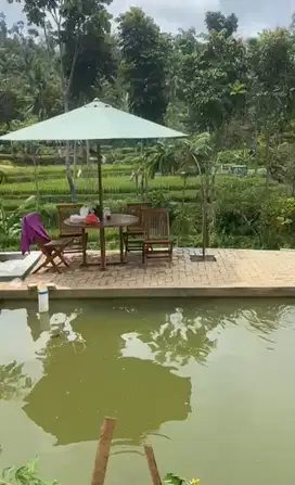 Villa margalaksana sumedang, view sawah, Alses mobil