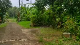 Tanah SHM 1.400 m² SIAP BANGUN Palir Asri Ngaliyan Kota Semarang
