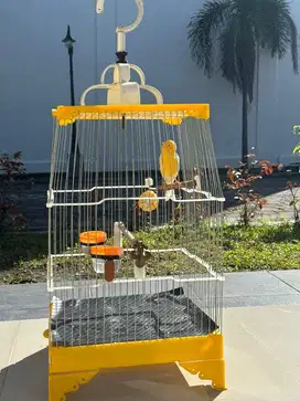 Jual Kandang kenari