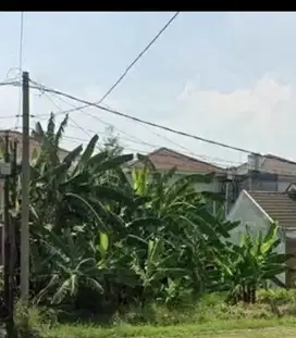 Tanah Kahuripan murah