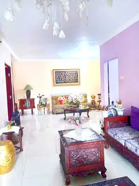 RUMAH HOMY DI BINTARO SEKTOR 3 ASRI HALAMAN BELAKANG LUAS CAMAR MANDAR