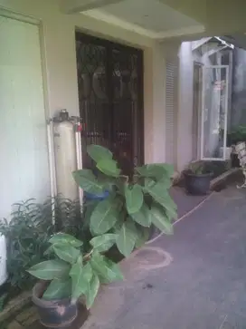 Rumah Menteng Prambanan Lt. 1200 ,m2 /Lb. 400 m2 , bisa Kantor 400 jt
