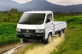 Suzuki Carry pick up New