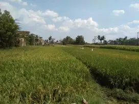 Tanah Kedung Kandang Belakang Blok Office Malang Kota