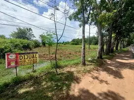 Tanah tepi Jalan Ayani seberang kantor Bupati