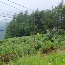 JUAL TANAH BOJONGKONENG SENTUL