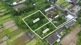 Tanah Kebun sejuk  strategis Luwus Baturiti Tabanan Bali